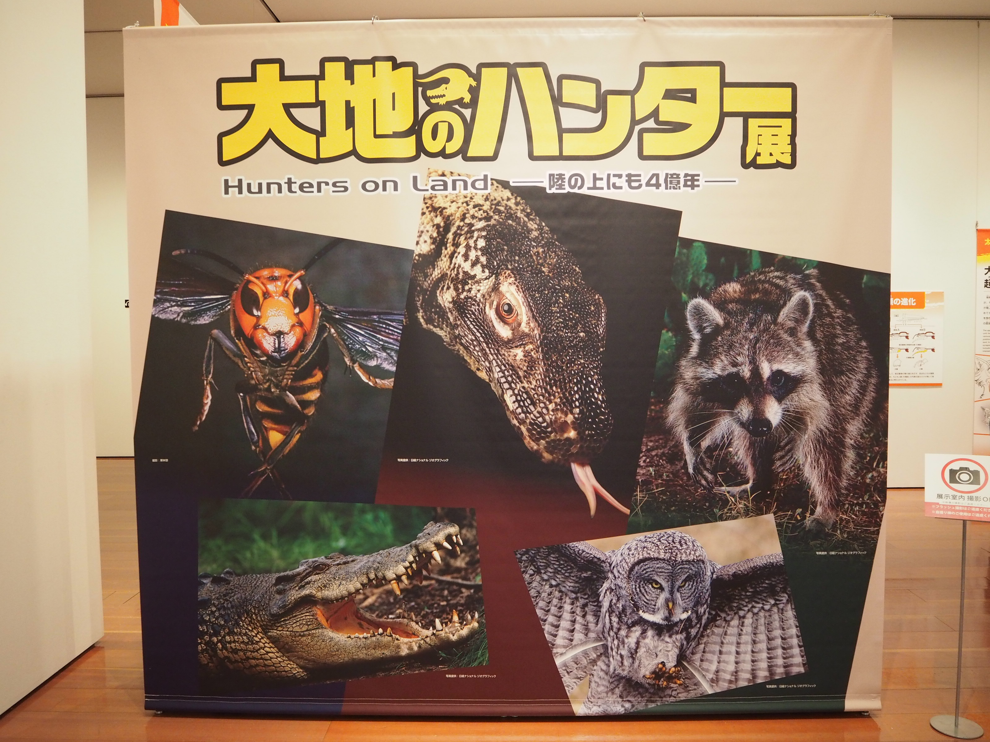 記念メダル　大地のハンター展 大地のハンター展」明日7/3(土)開幕！ | 新潟県立万代島美術館
