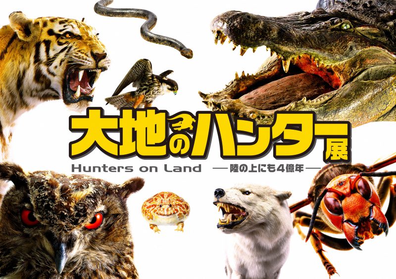 大地のハンター展 ―陸の上にも4億年―